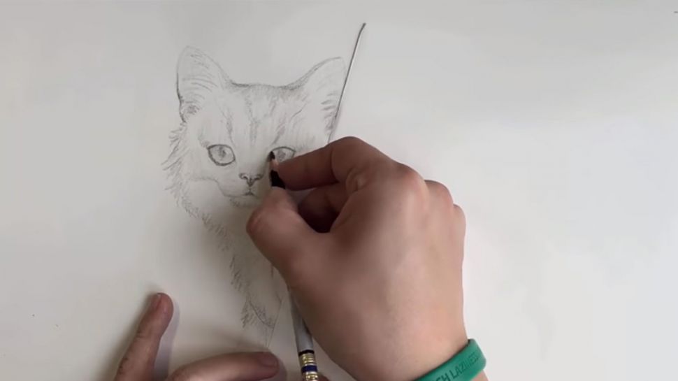 Art techniques: person drawing a cat