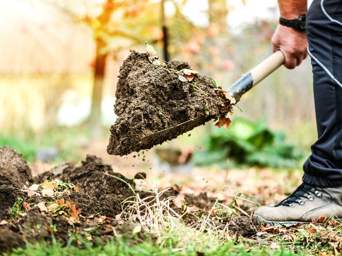 When To Amend Soil For A Better Garden Gardening Know How