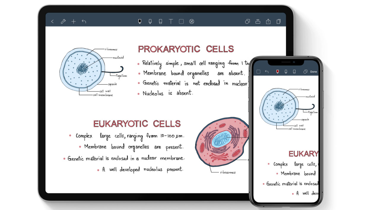 best iPad apps for designers: Noteshelf