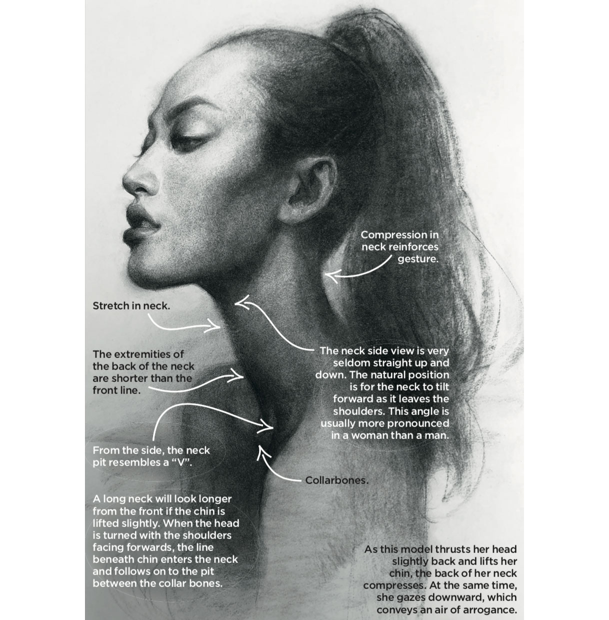 Featured image of post Collarbone Drawing Side collarboneexercise annaveronika modelworkoutmy top collarbone exercises for you