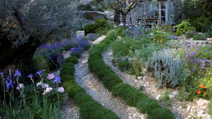 Mediterranean Gardens Design Ideas And Planting Tips For A Bright