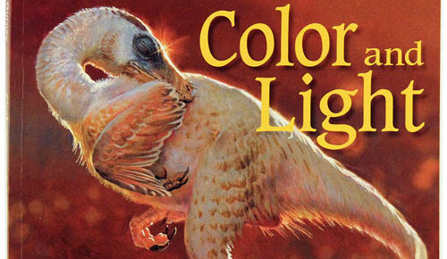 Illustrator books: Color and Light