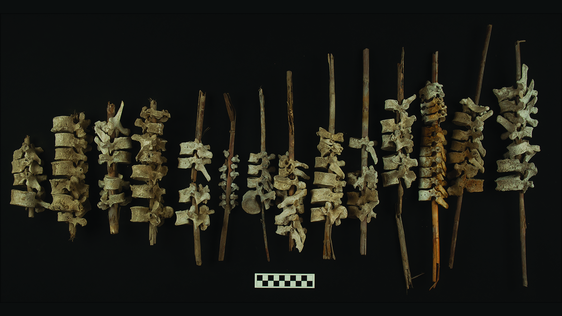 Human spines on sticks found in 500-year-old graves in Peru thumbnail