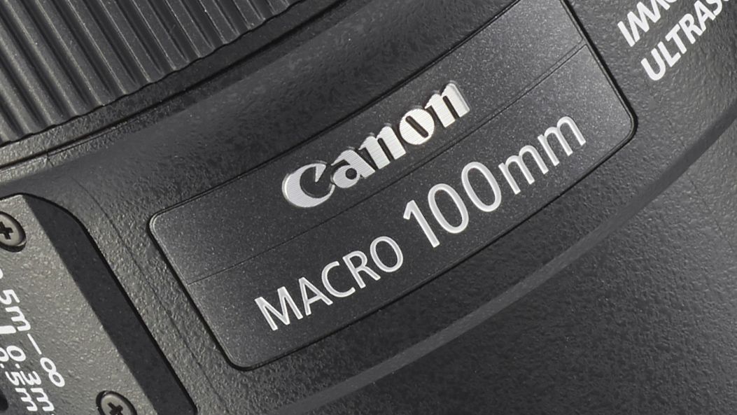 The best macro lenses for Canon and Nikon DSLRs in 2017 TechRadar