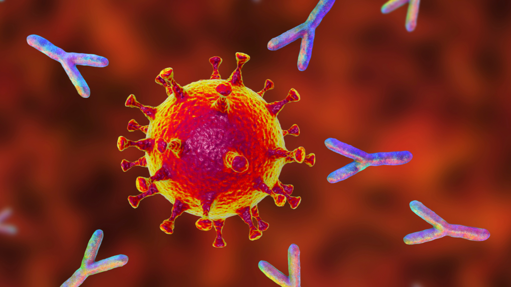 Coronavirus news of the week (VIDEO)