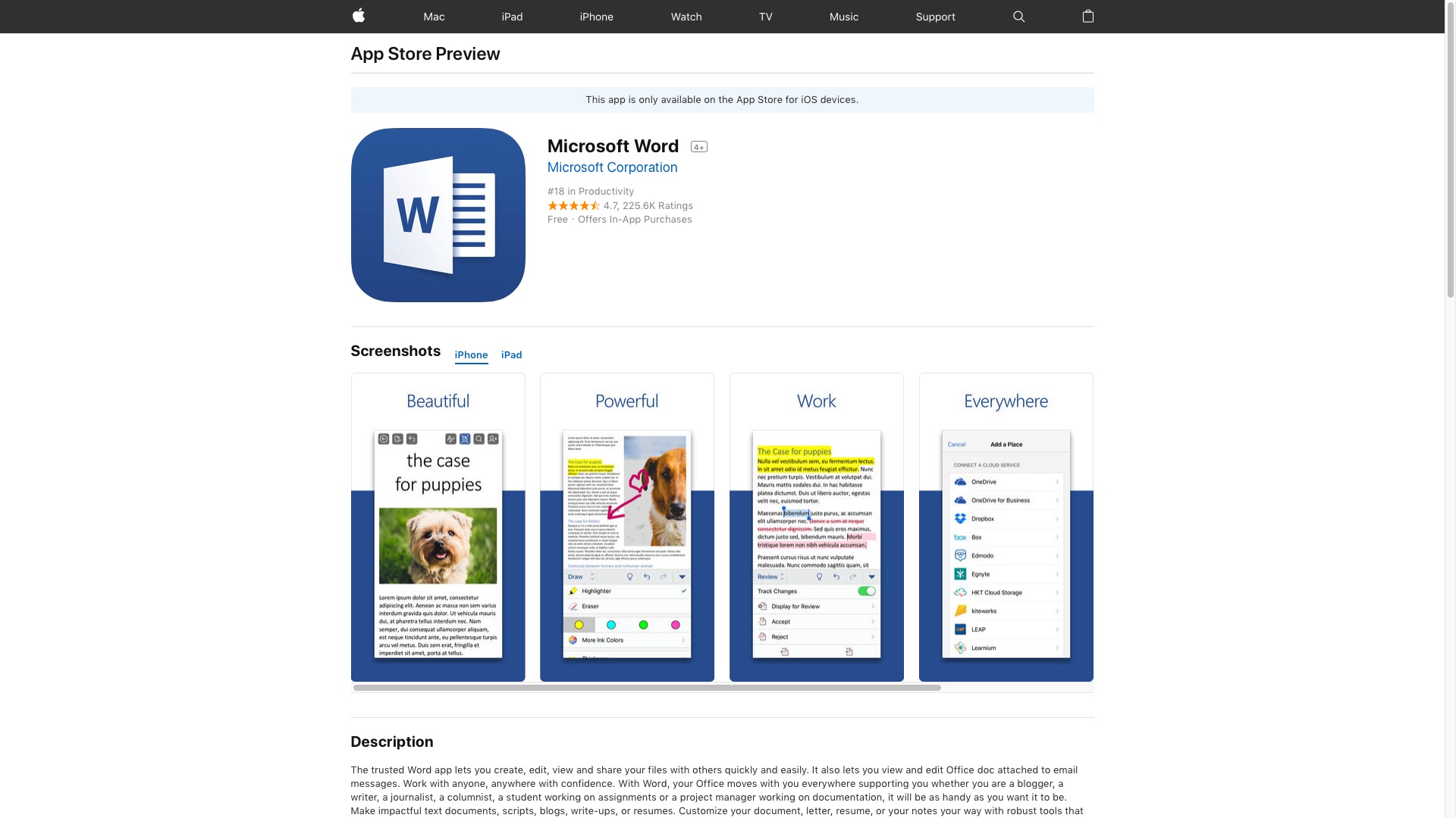 Microsoft Word