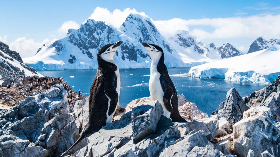 La Antártida está a punto de tener su primer cable de internet submarino