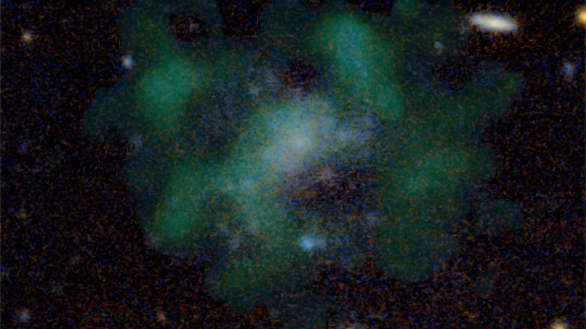 Observations of the diffuse galaxy AGC 114905 suggest the galaxy has no dark matter. The finding defies theories.