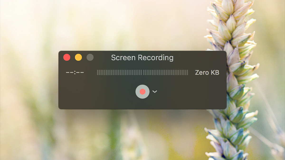 stop screen recording quicktime