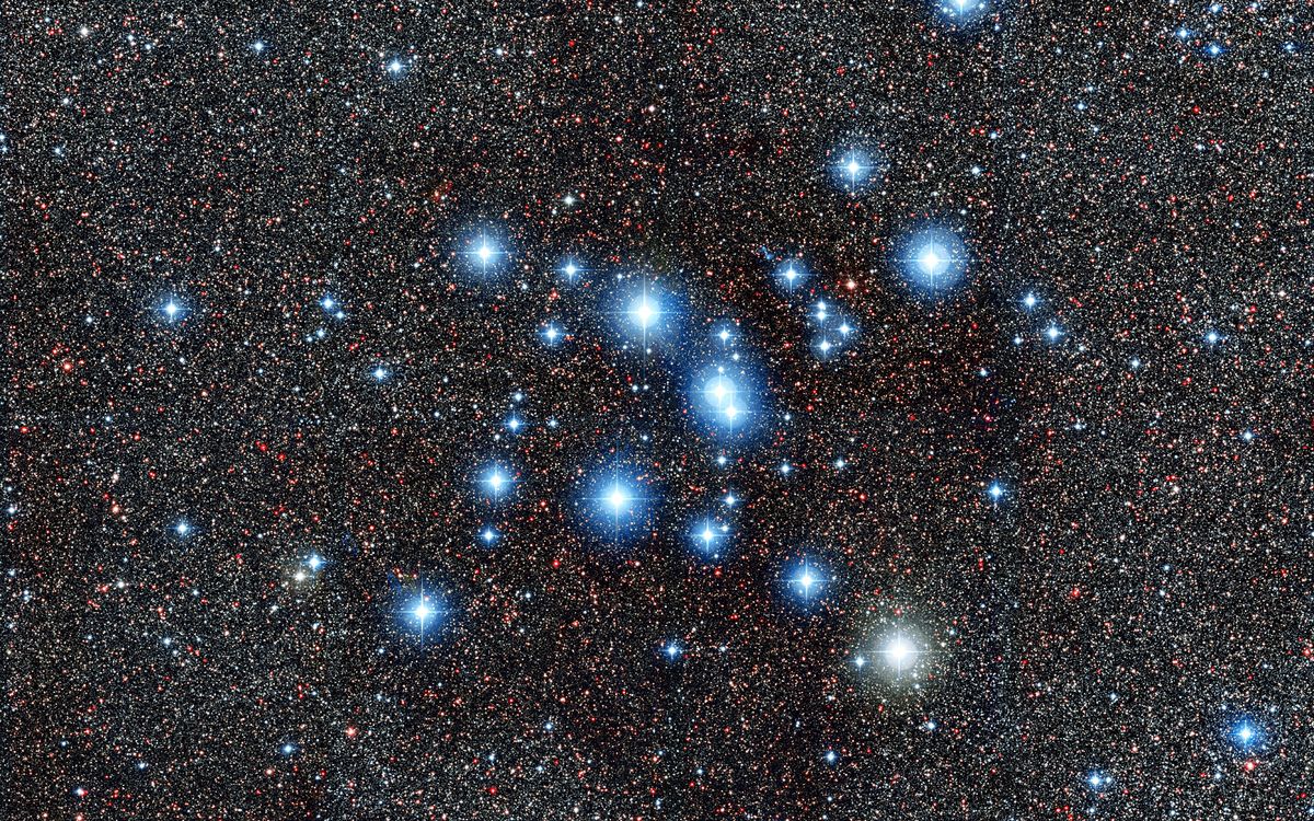 Скопление Мессье 41
