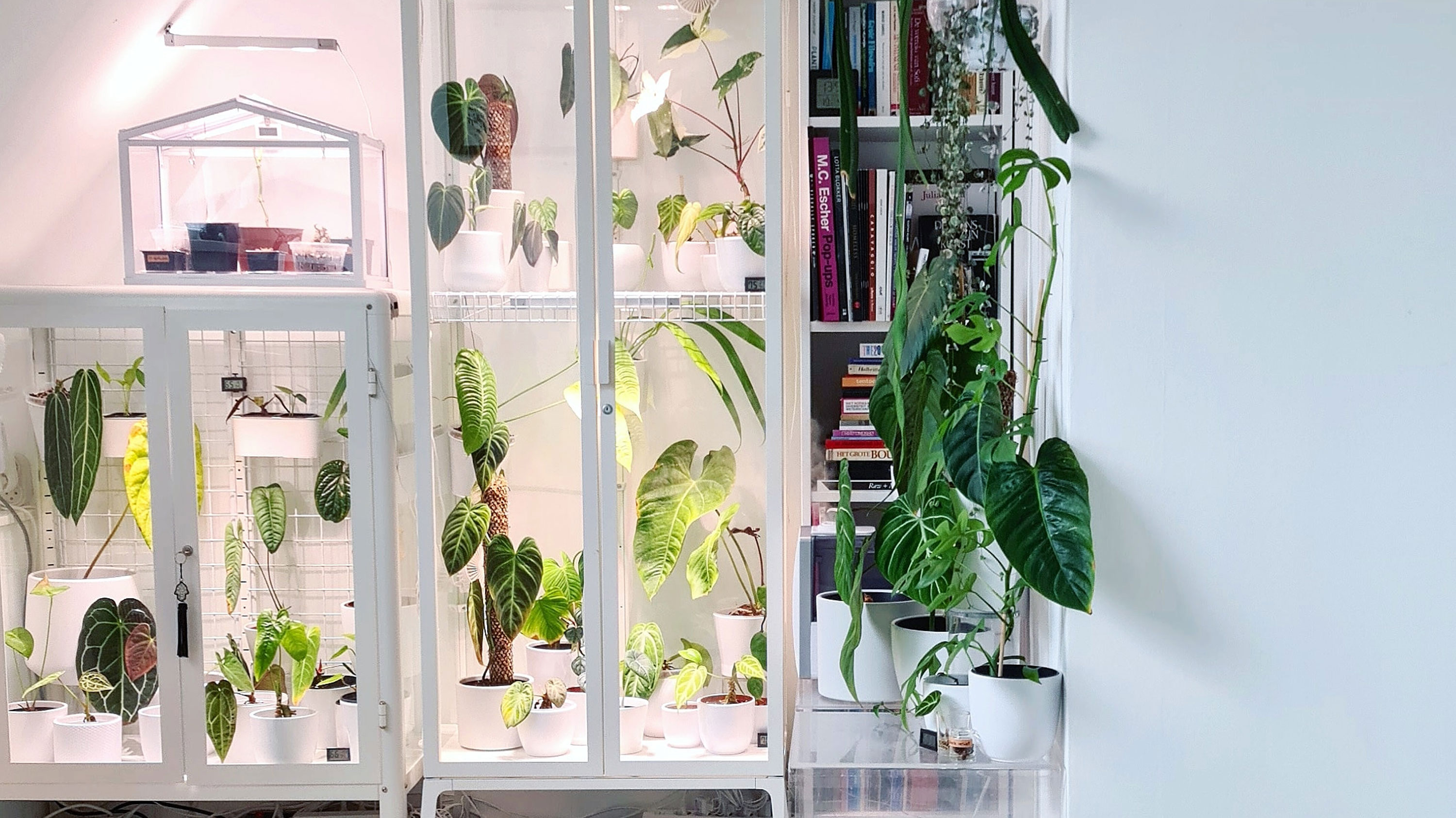 the ikea greenhouse cabinet is the ultimate ikea hack for plant lovers gardeningetc