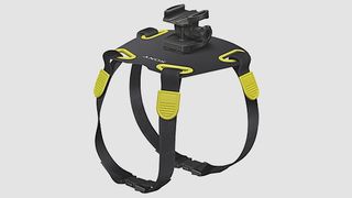 Sony Action Cam