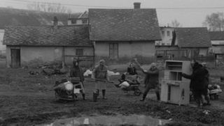 7 Stntang 1994