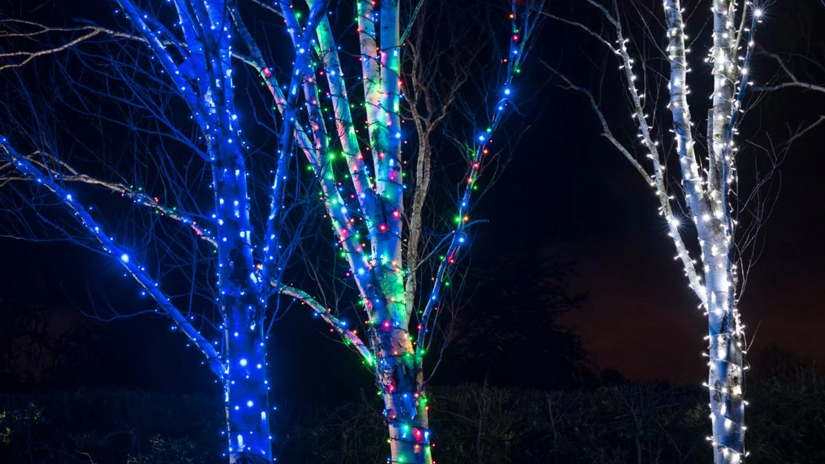 10 Ways To Decorate Outdoor Trees For, Best Way To Light Outdoor Trees