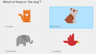 Duolingo free