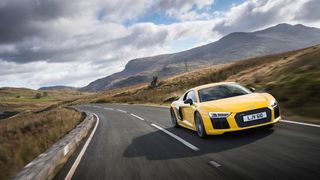 10 It even looks good in yellow