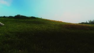 Dat Grass