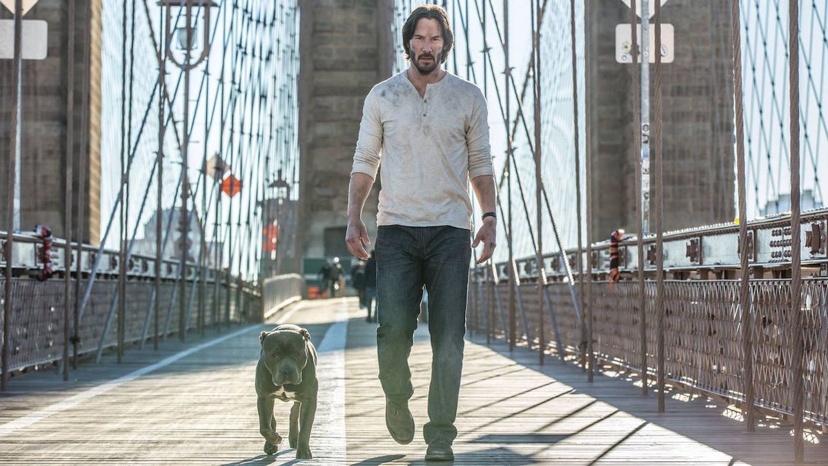 D'awww! John Wick's dog is the real star of these new sequel images