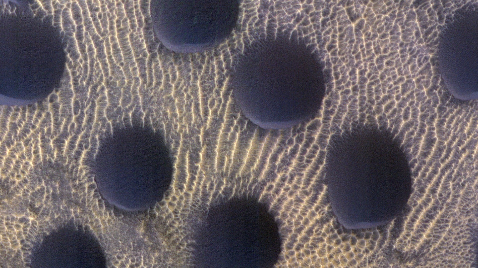 Strange circular dunes on Mars spotted in these NASA photos