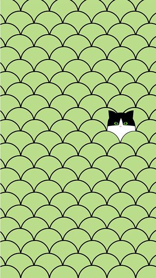 Cat circles