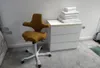 HAG Capisco Puls 8010 Office Chair