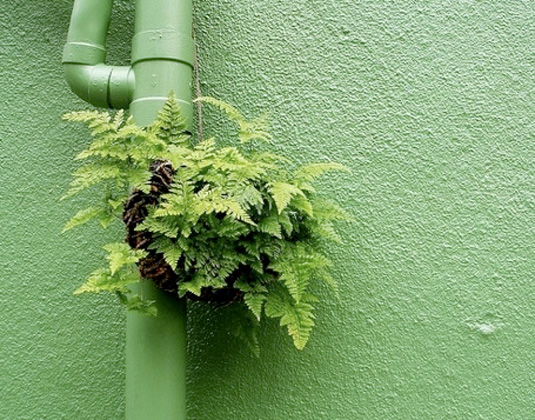 Street art: Guerrilla Gardeners