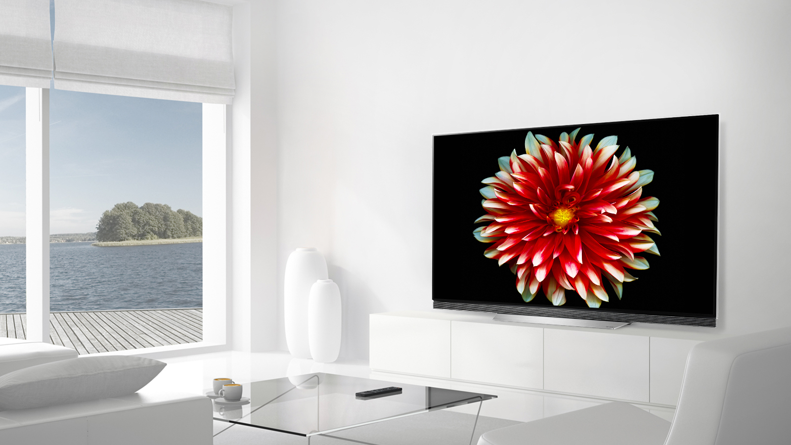 LG OLED E6