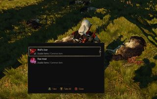 Witcher Mod