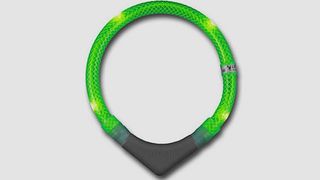 Leuchtie LED Dog Collar