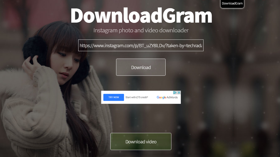 instagram video downloader online