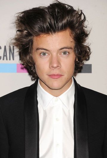 Reasons Why Harry Styles Is The Hunkiest Man Boy Alive Photos