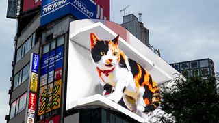 3D cat billboard