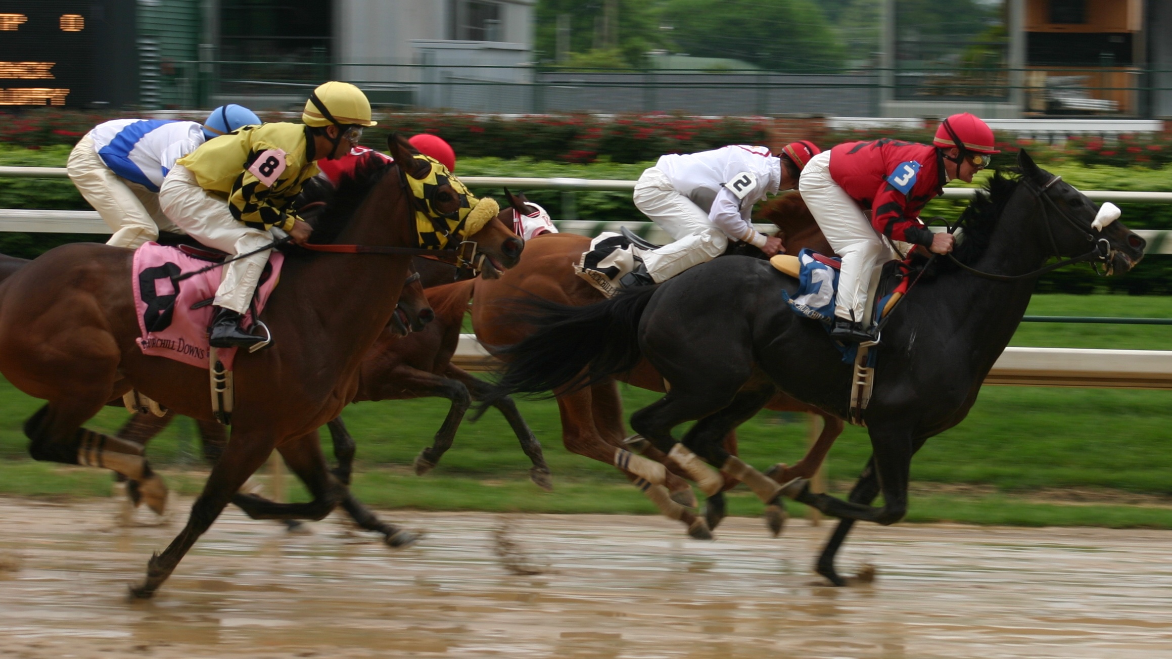 Live Racing Streams | Horse Racing Streams