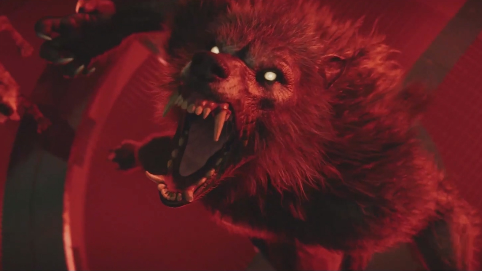 You probably shouldn't pet the dog in the cinematic trailer for Werewolf: The Apocalypse—Earthblood