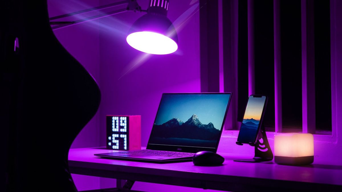 How to go from content creation novice to pro with Movavi - NewsOpener How to go from content creation novice to pro with Movavi