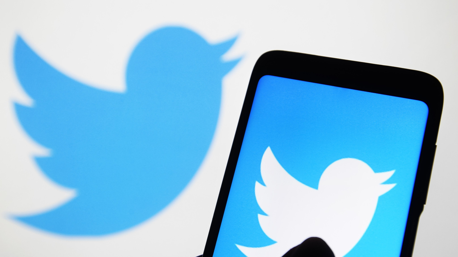 Twitter is removing over a million spam accounts every day