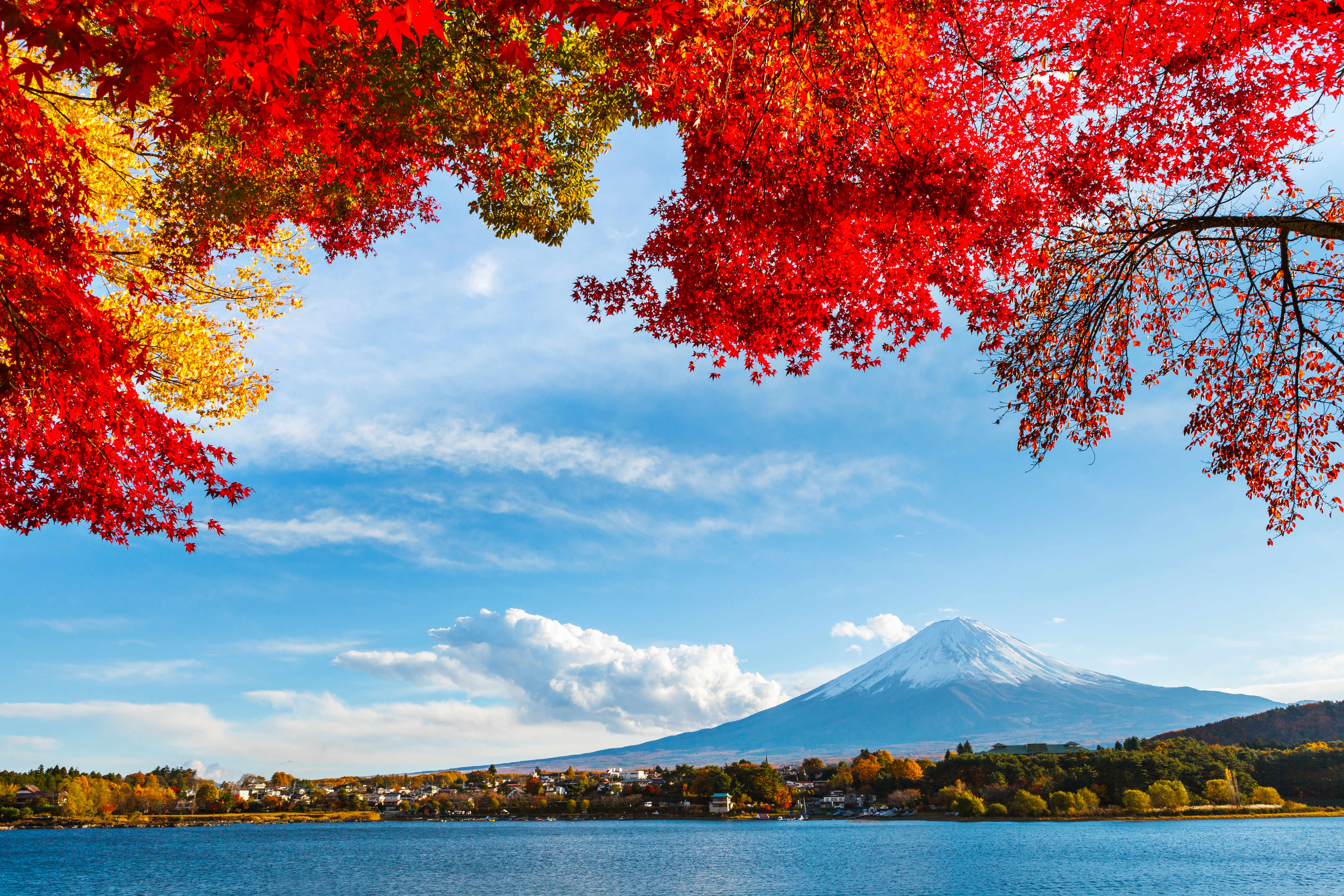 fall virtual backgrounds for zoom