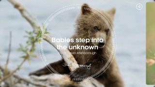 Attenborough s Story of Life