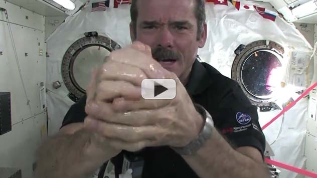 Life In Space Astronaut Chris Hadfield S Video Guide Space