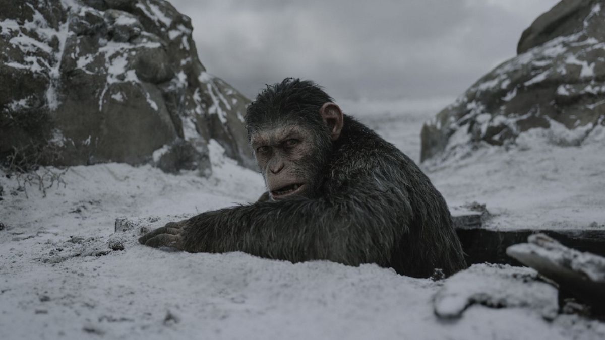 Movies to watch on Blu-Ray and DVD: War for the Planet of the Apes, Terminator 2: Judgment Day, and more