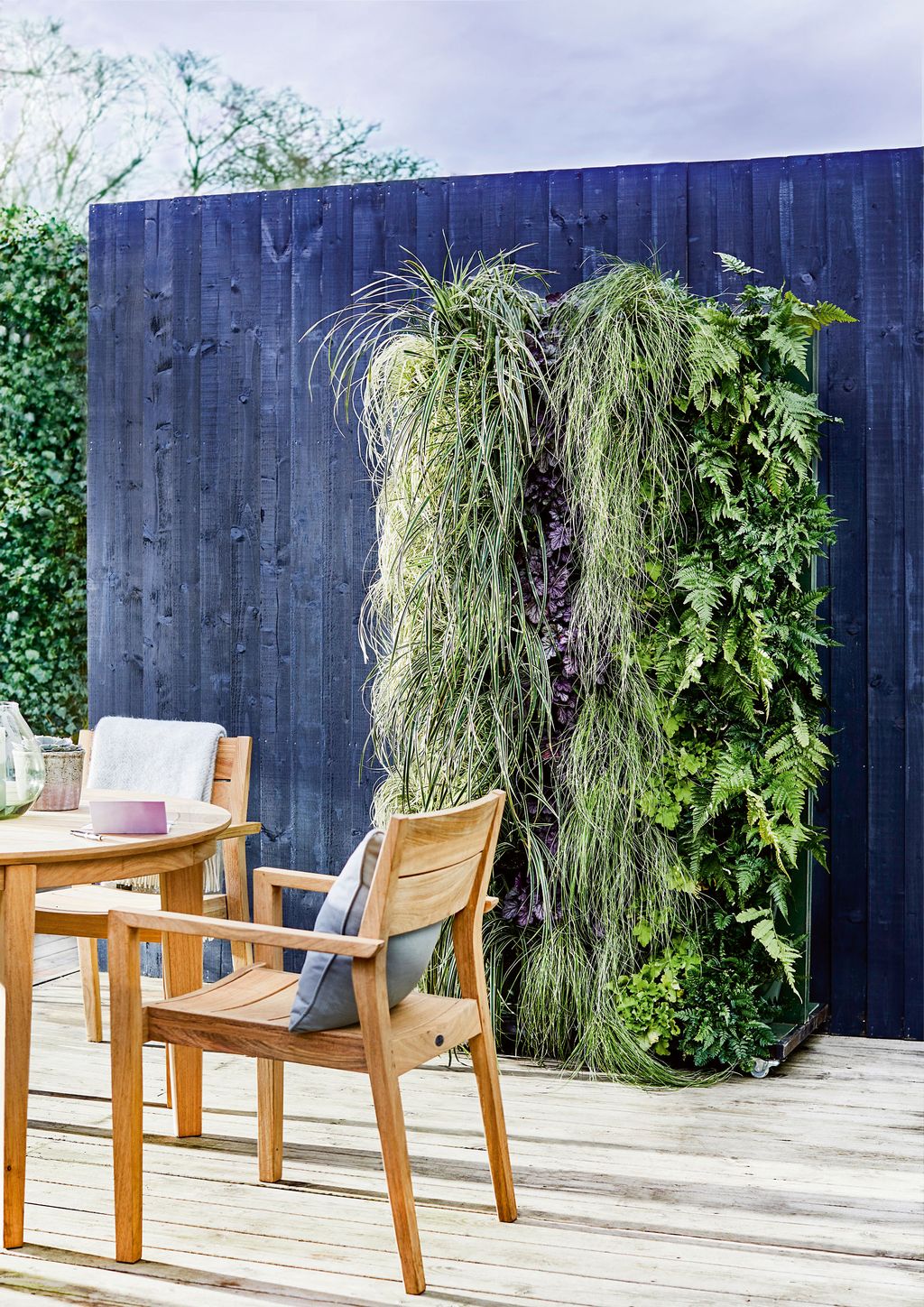 How To Make A Living Wall An Easy Step By Step Guide Real Homes