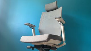 The grey Back Support Ergonomic Office Chair OC13 on a duck egg background. 