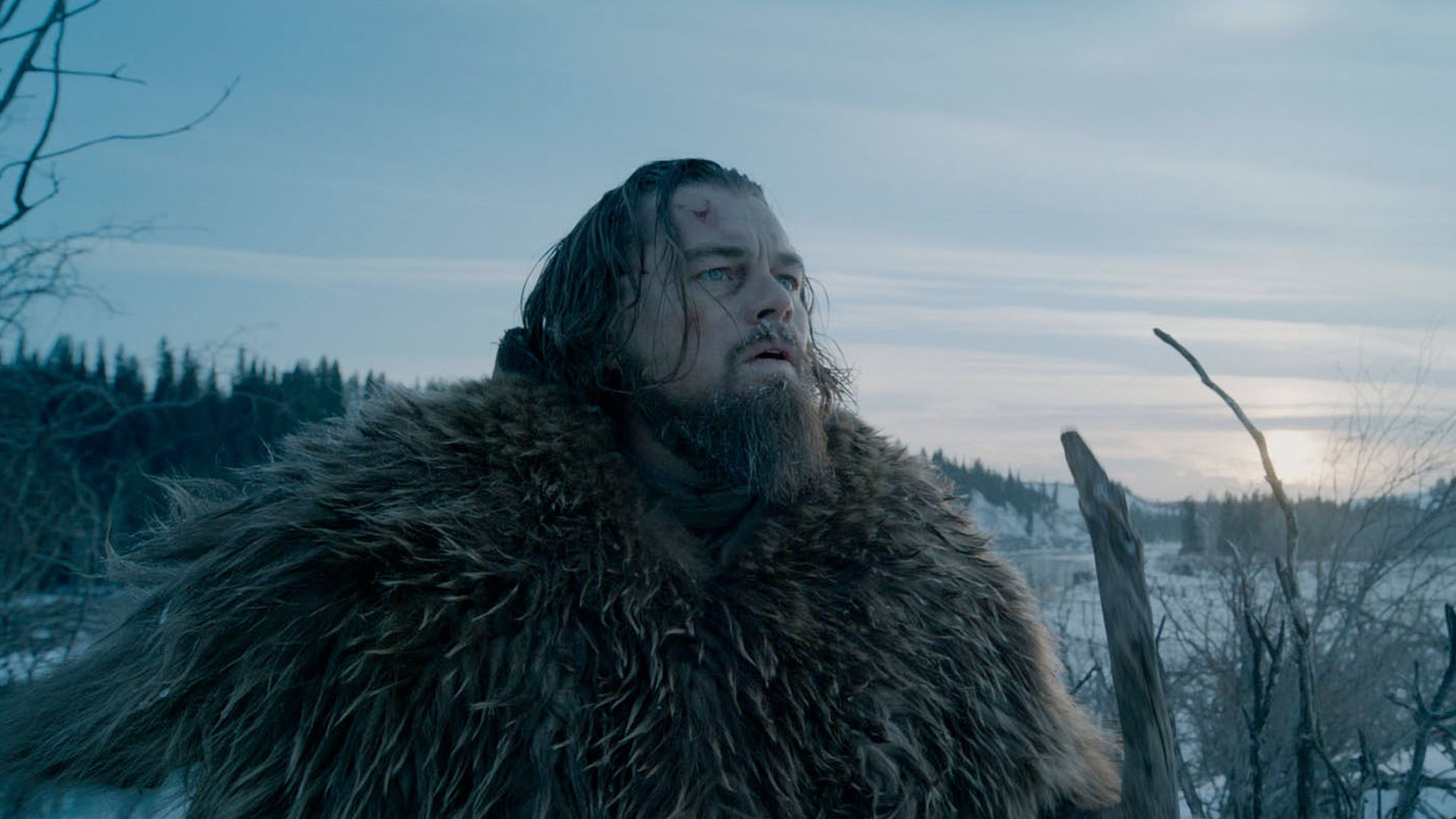 The Revenant