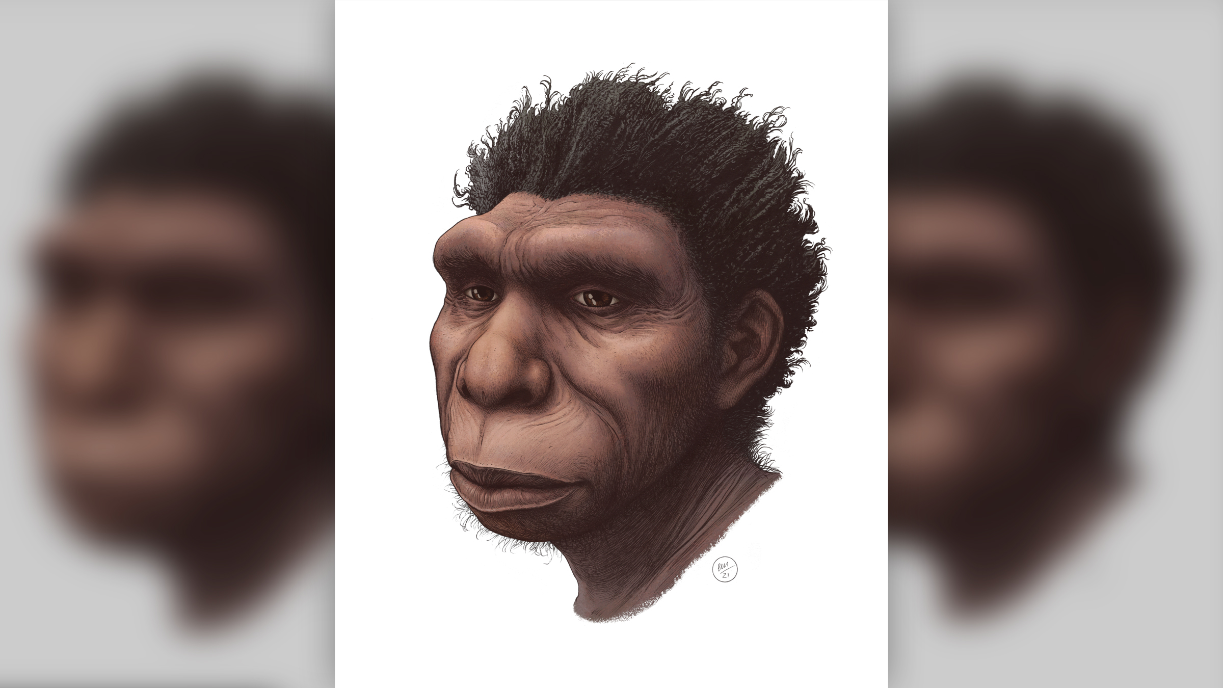 Newly named human species may be the direct ancestor of modern humans thumbnail