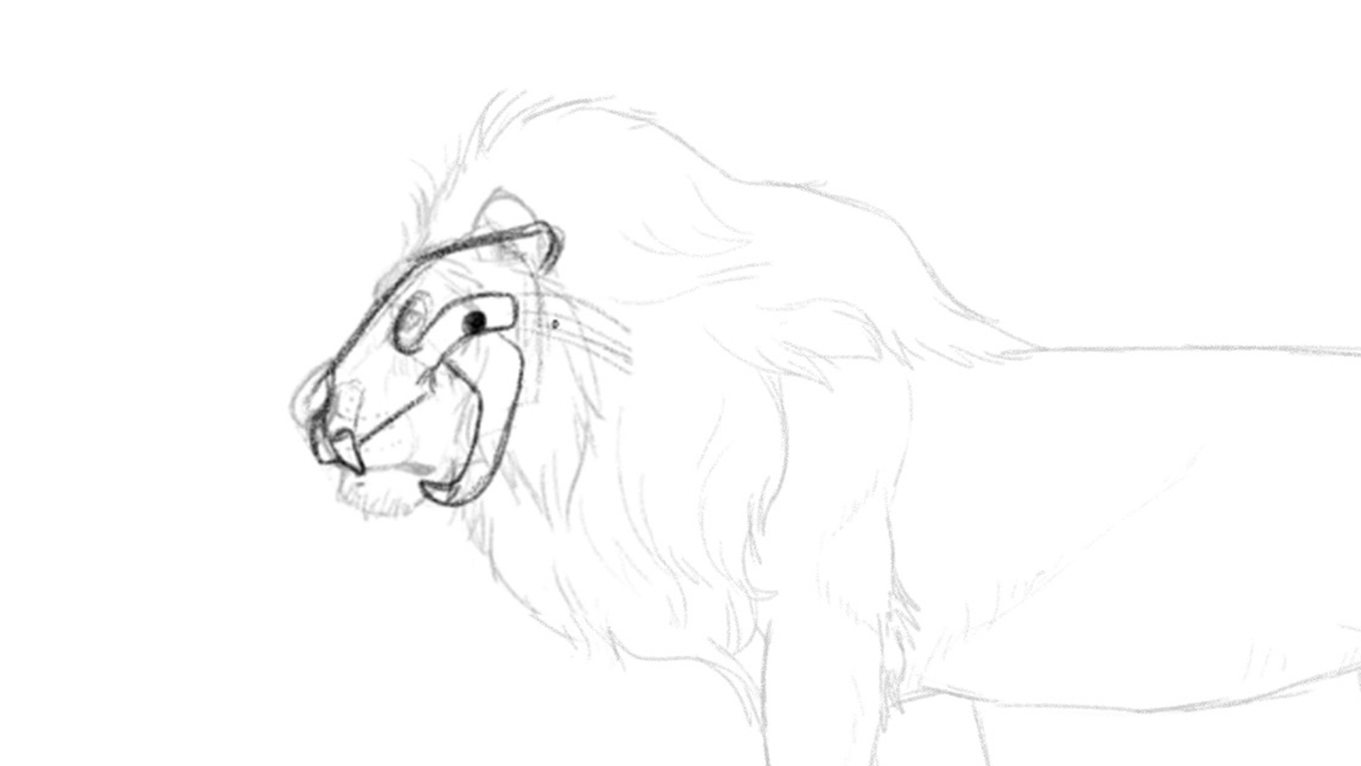Simple Rough Sketch Drawing Of A Lion With Its Moutgh Open with Realistic