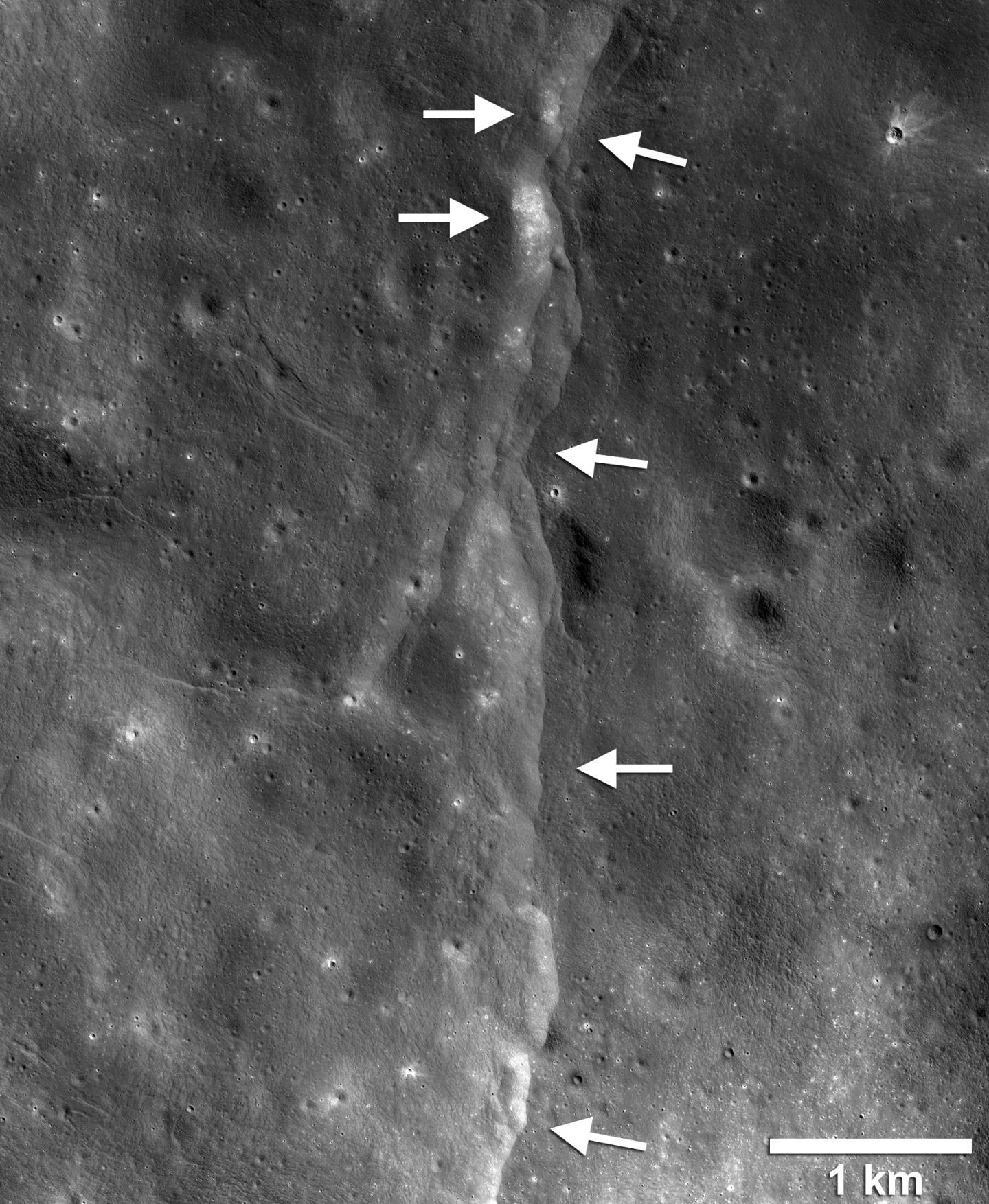 Moonquakes Rattle the Moon as It Shrinks Like a Raisin