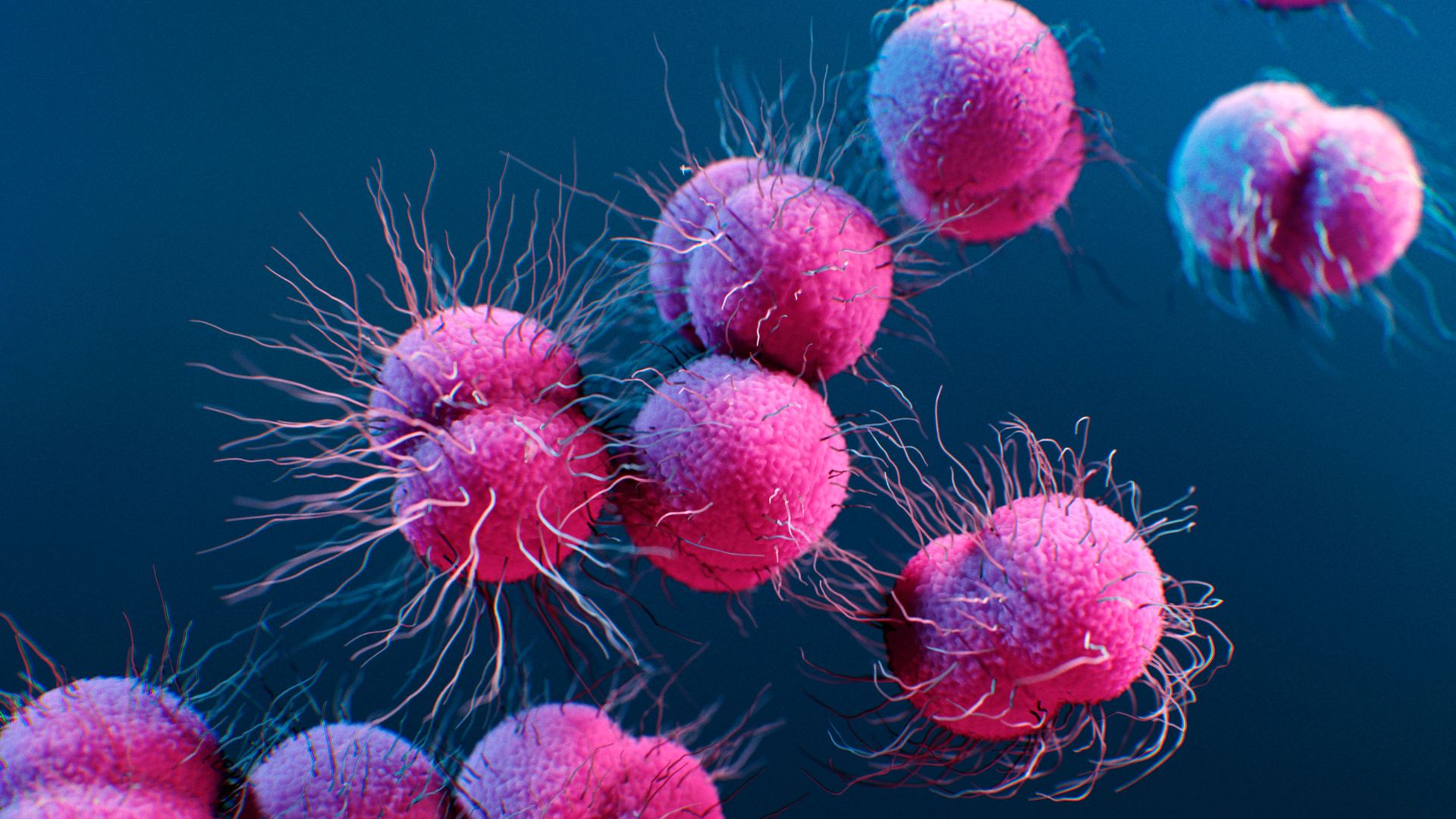 New ‘concerning’ strain of drug-resistant gonorrhea found in U.S. for 1st time