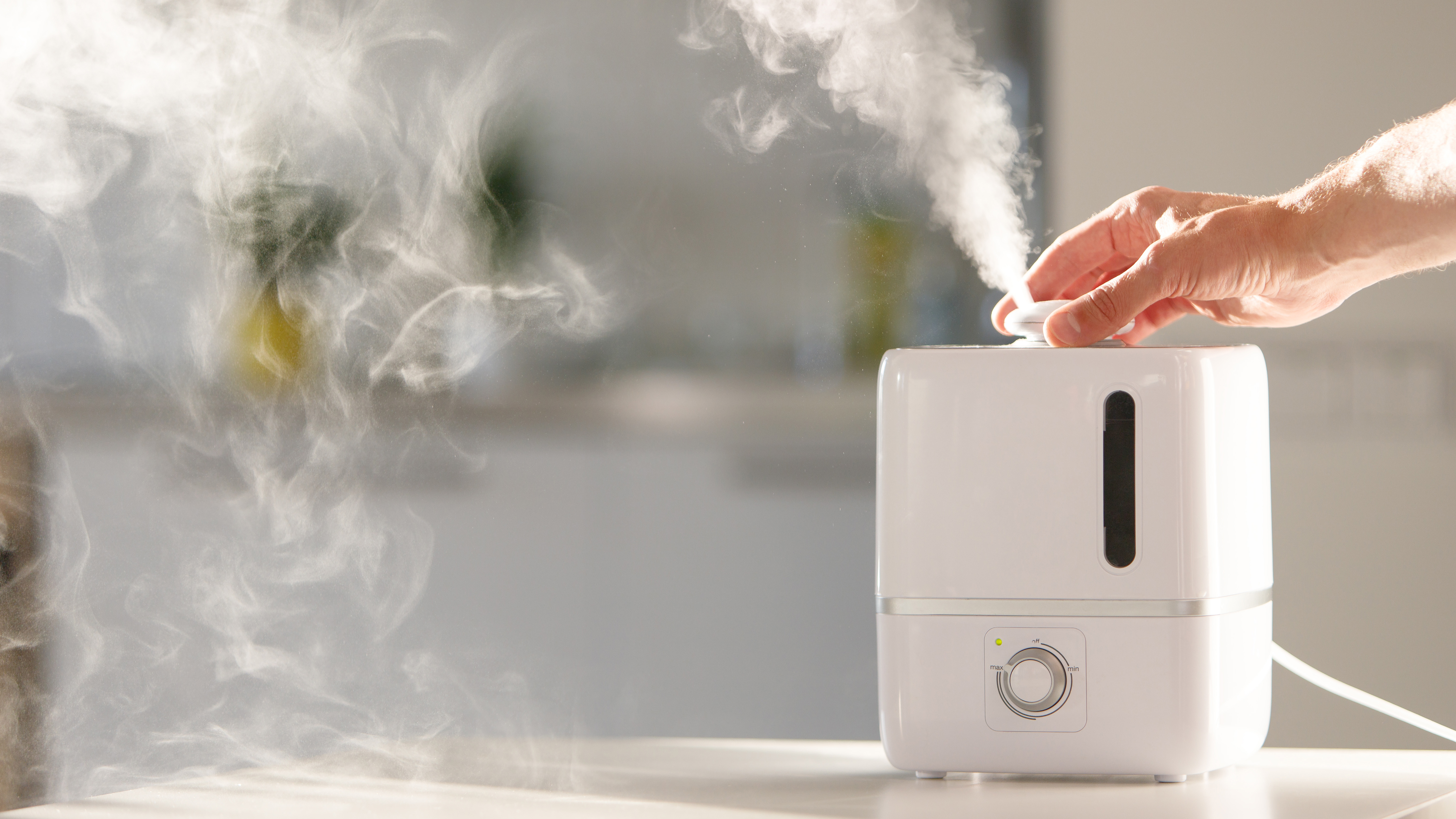 best warm mist humidifier for large rooms