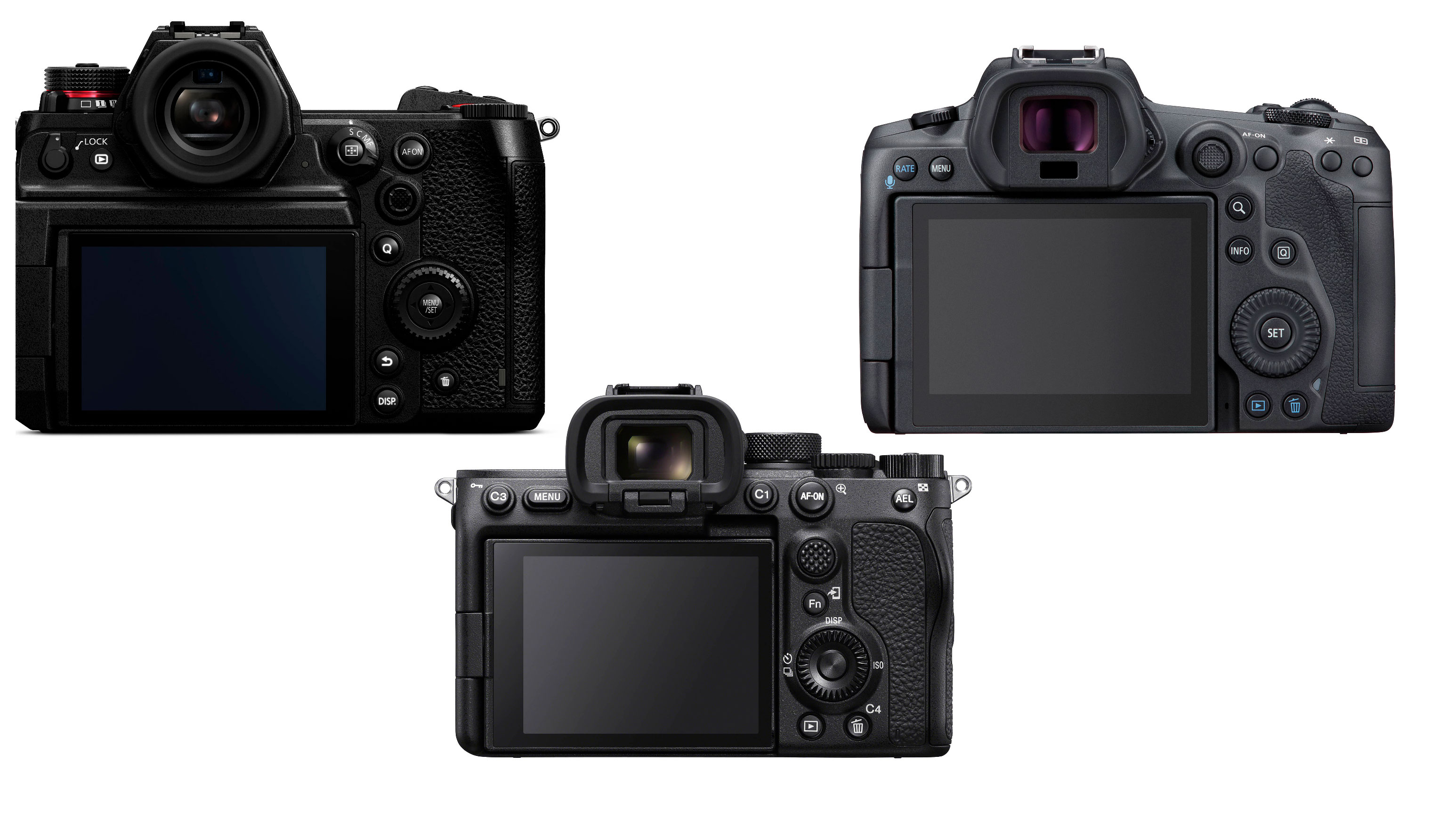 Sony A S Mark Iii Vs Panasonic Lumix S H Vs Canon Eos R Digital