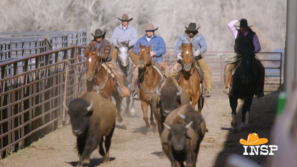 INSPs Ultimate Cowboy Showdown Rustles Up Fourth Season Renewal